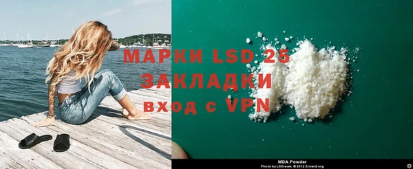 стафф Алзамай