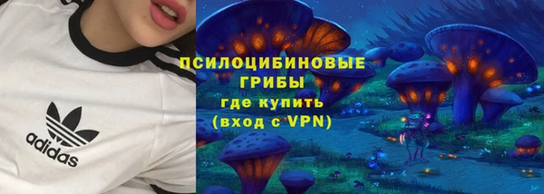 стафф Алзамай