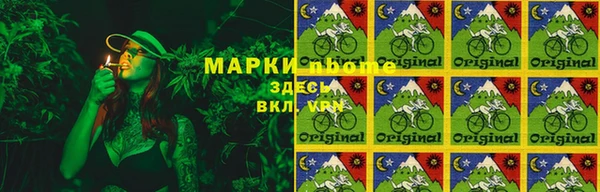 стафф Алзамай